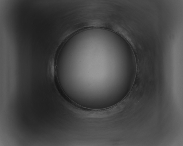 X0000100900011200806241302