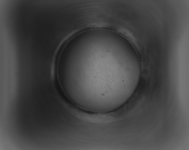 X0000100900012200806241302