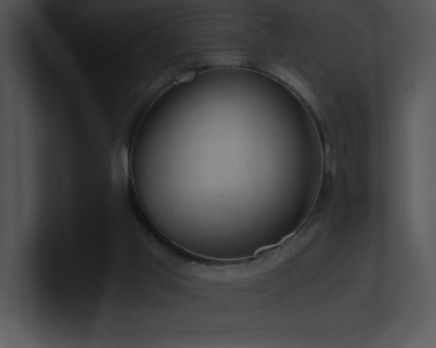 X0000100900013200806241302