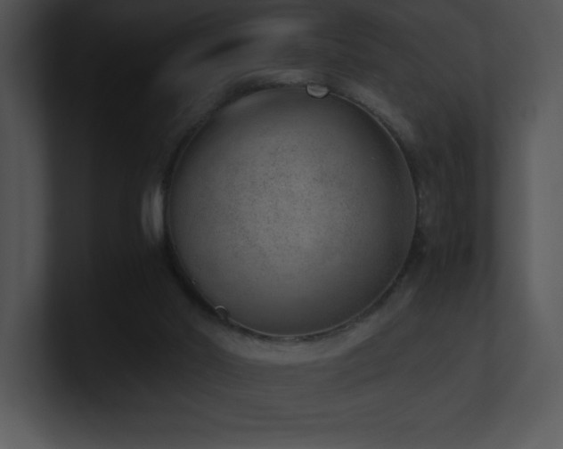 X0000100900014200806241302