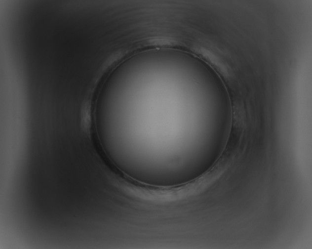 X0000100900015200806241302
