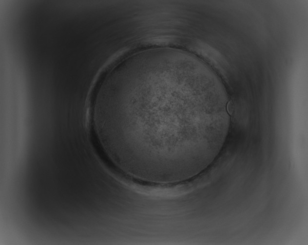 X0000100900016200806241302