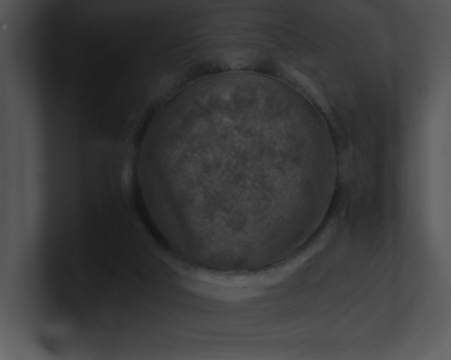 X0000100900018200806241302