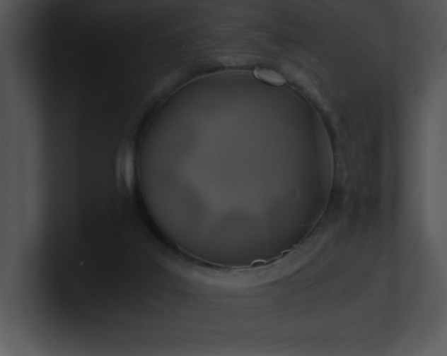X0000100900019200806241302