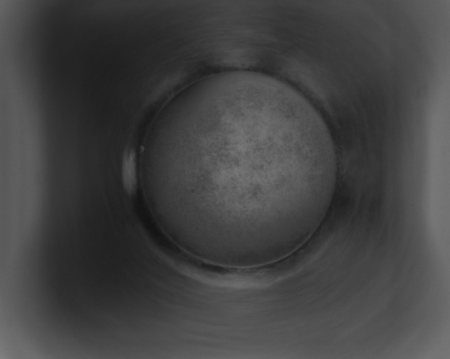 X0000100900020200806241302