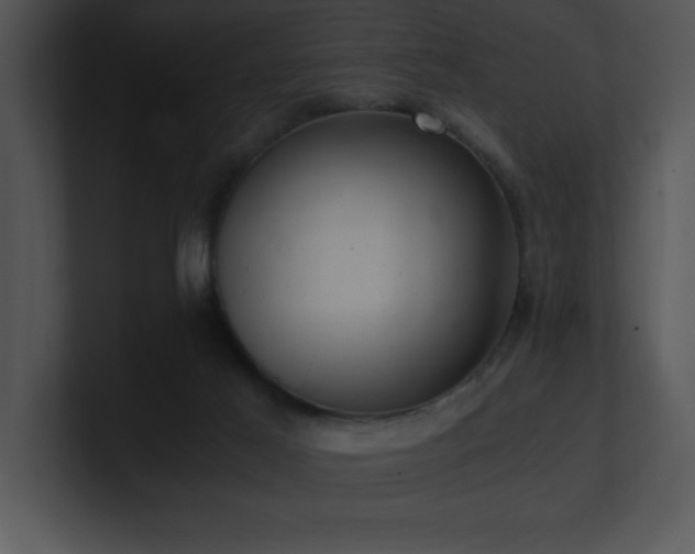 X0000100900021200806241301