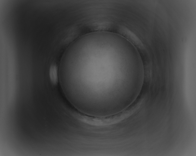 X0000100900022200806241301
