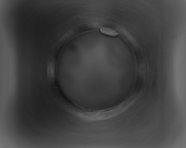 X0000100900023200806241301