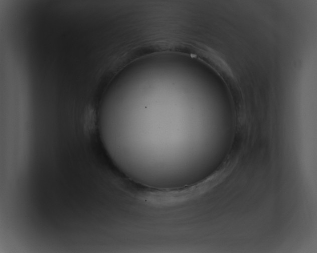 X0000100900025200806241301