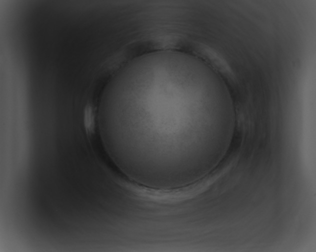 X0000100900026200806241301