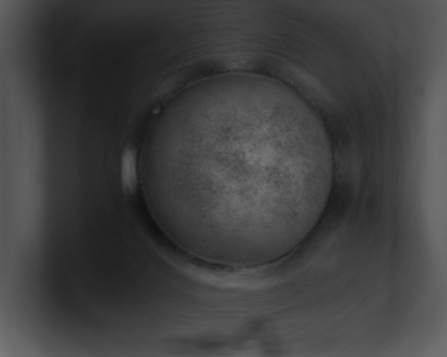 X0000100900028200806241301