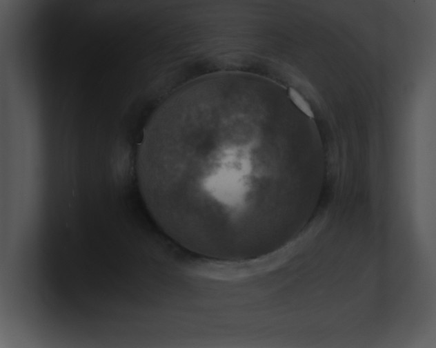 X0000100900029200806241301