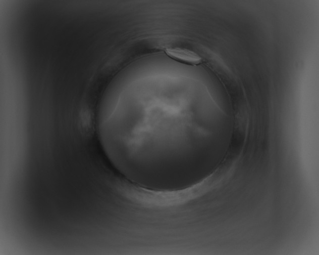 X0000100900031200806241301