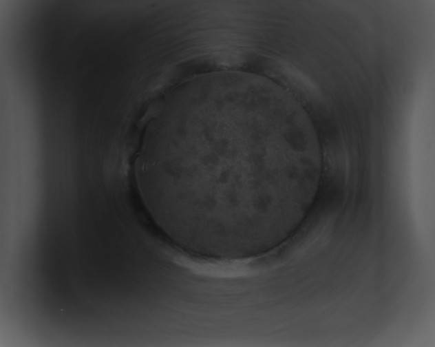 X0000100900032200806241301