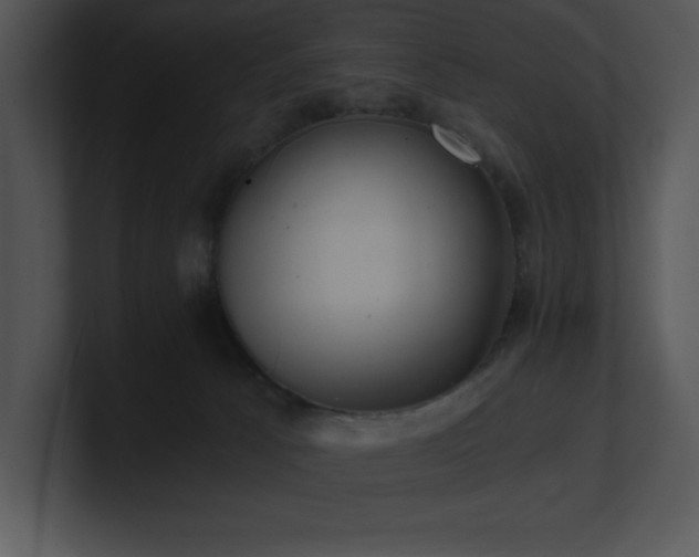 X0000100900033200806241301