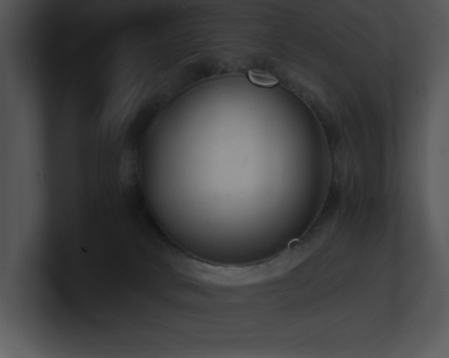 X0000100900034200806241301