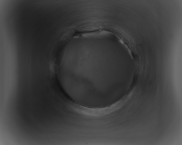 X0000100900035200806241301