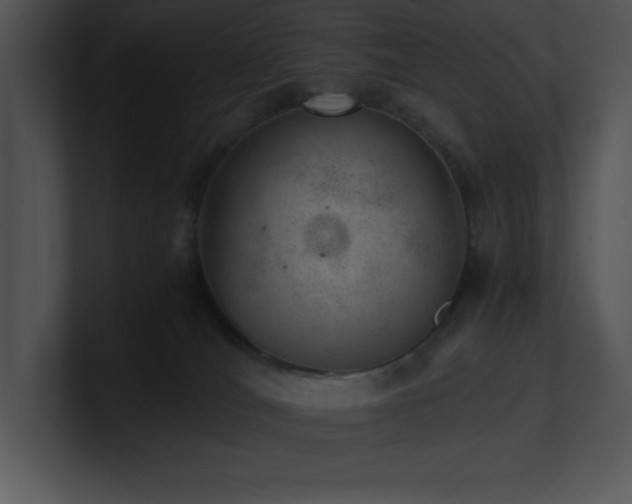 X0000100900036200806241301