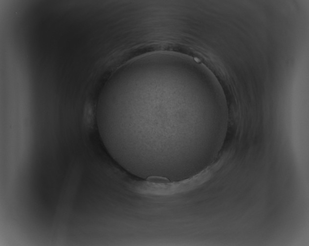 X0000100900037200806241301