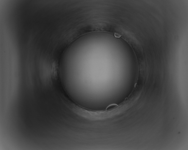 X0000100900038200806241301