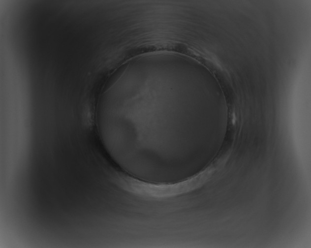 X0000100900039200806241301