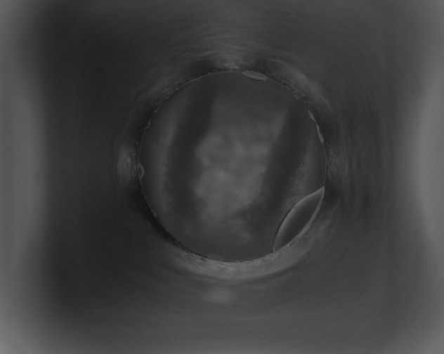 X0000100900043200806241301