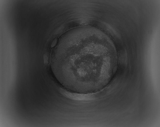X0000100900044200806241301
