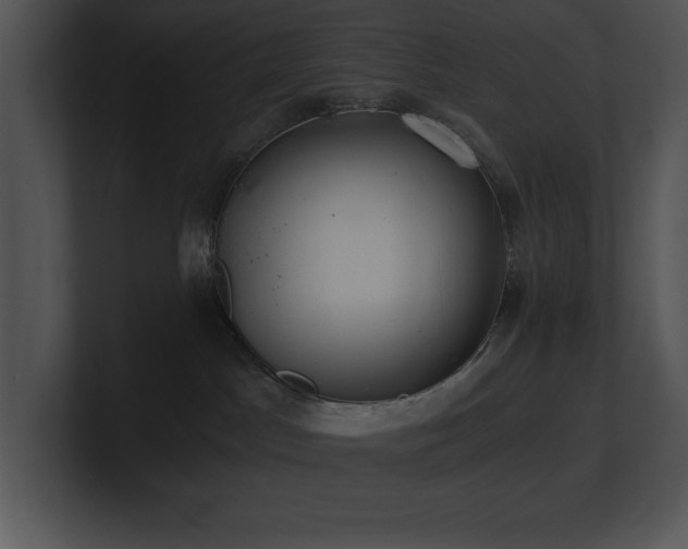 X0000100900045200806241301