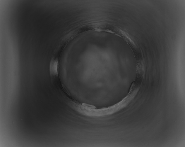 X0000100900047200806241301