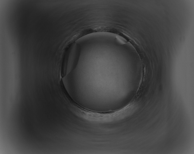 X0000100900048200806241301
