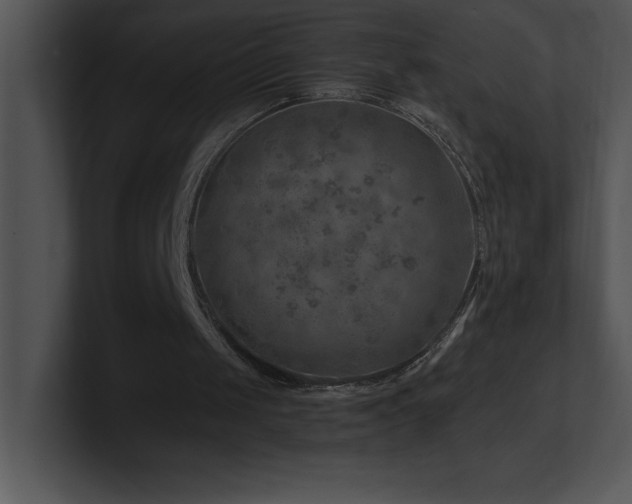 X0000100900049200806241300