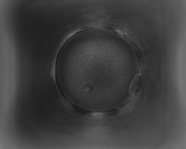 X0000100900052200806241301