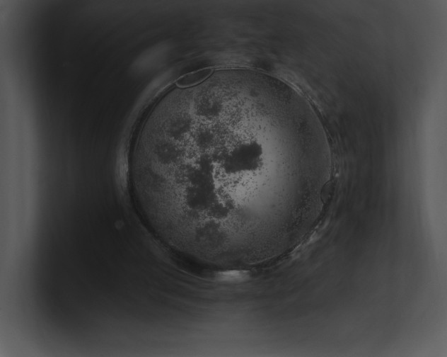X0000100900053200806241301
