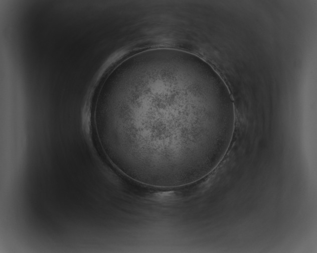 X0000100900054200806241301