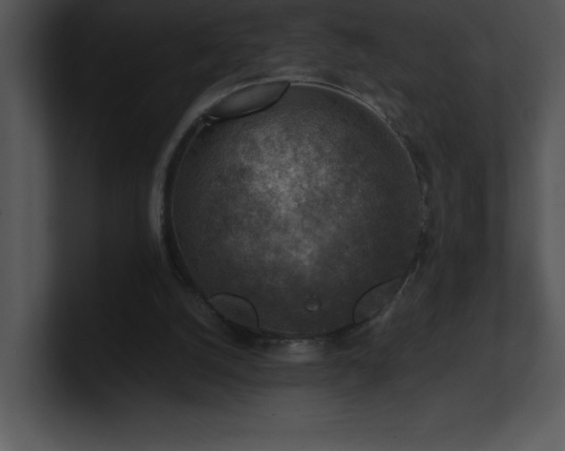 X0000100900056200806241301