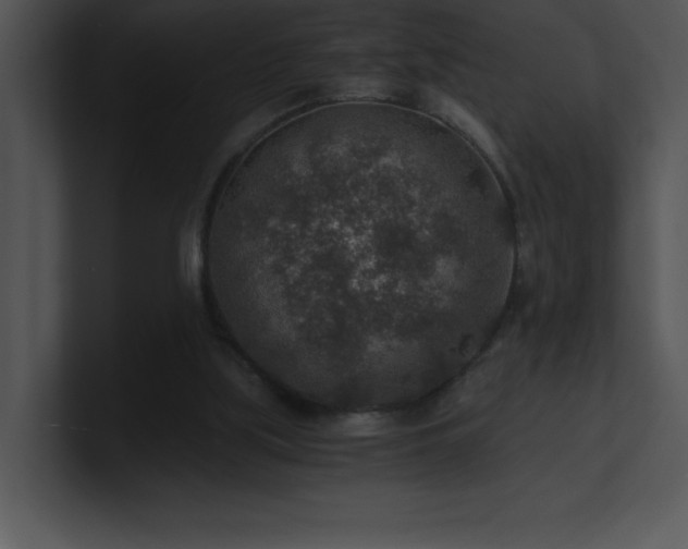 X0000100900059200806241301