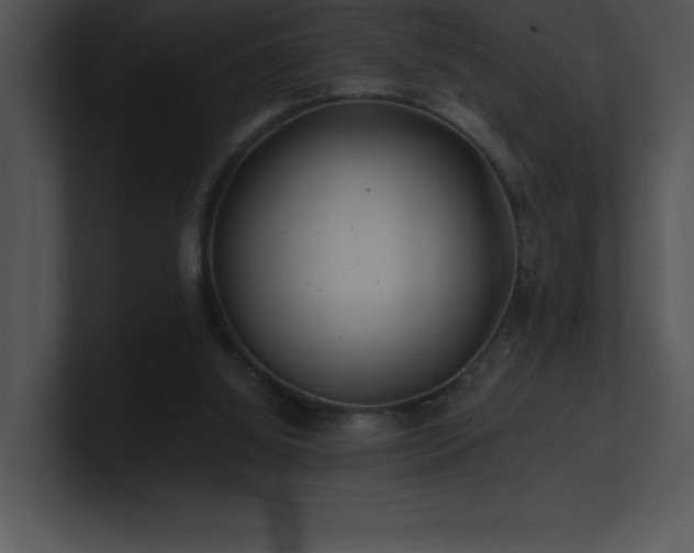 X0000100900060200806241301