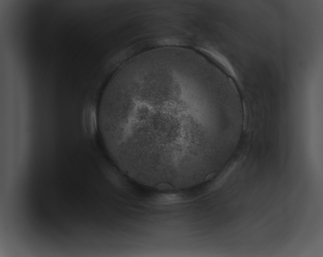 X0000100900061200806241301