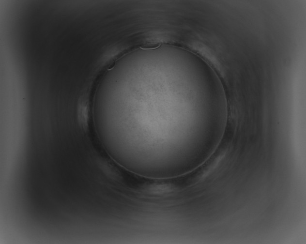 X0000100900063200806241301