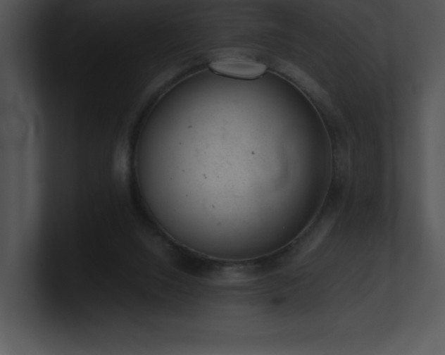 X0000100900064200806241301