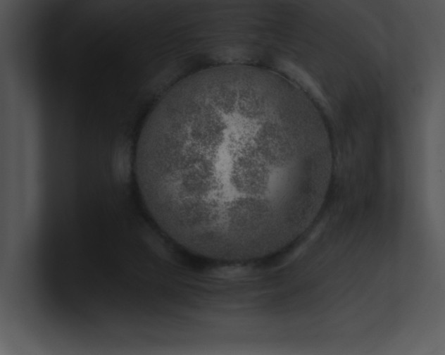 X0000100900065200806241301