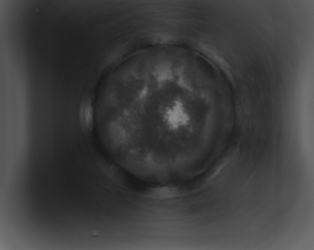 X0000100900067200806241301