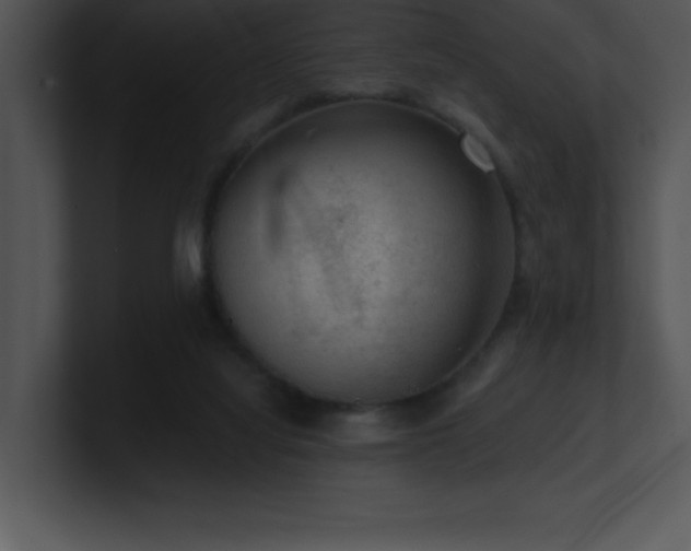 X0000100900068200806241301