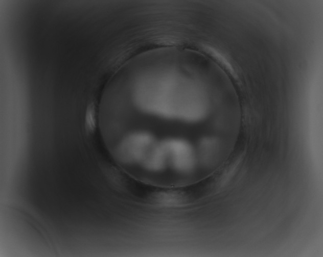 X0000100900069200806241301
