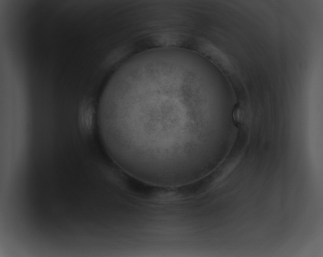 X0000100900071200806241301