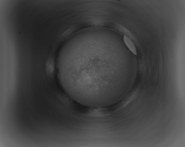 X0000100900072200806241301