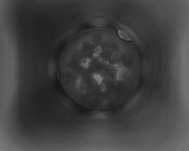 X0000100900073200806241301