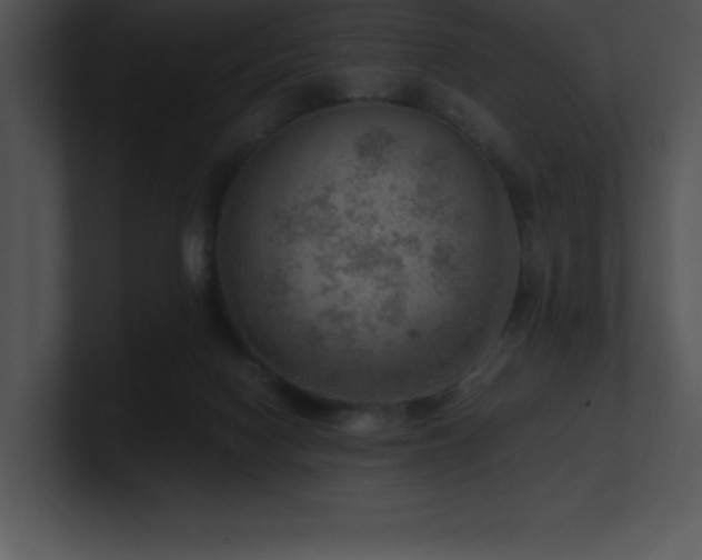 X0000100900074200806241301