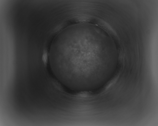 X0000100900076200806241301
