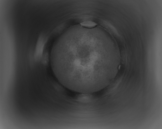 X0000100900077200806241301